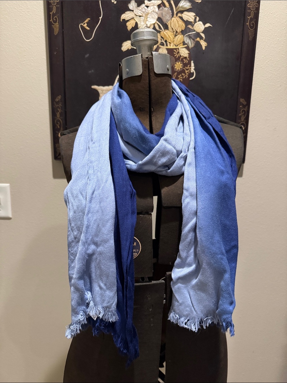 Nordstrom Rack Long Ombré Scarf in Shades of Blue
